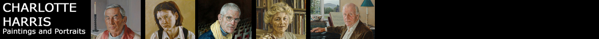 Banner image from various portrait commissions